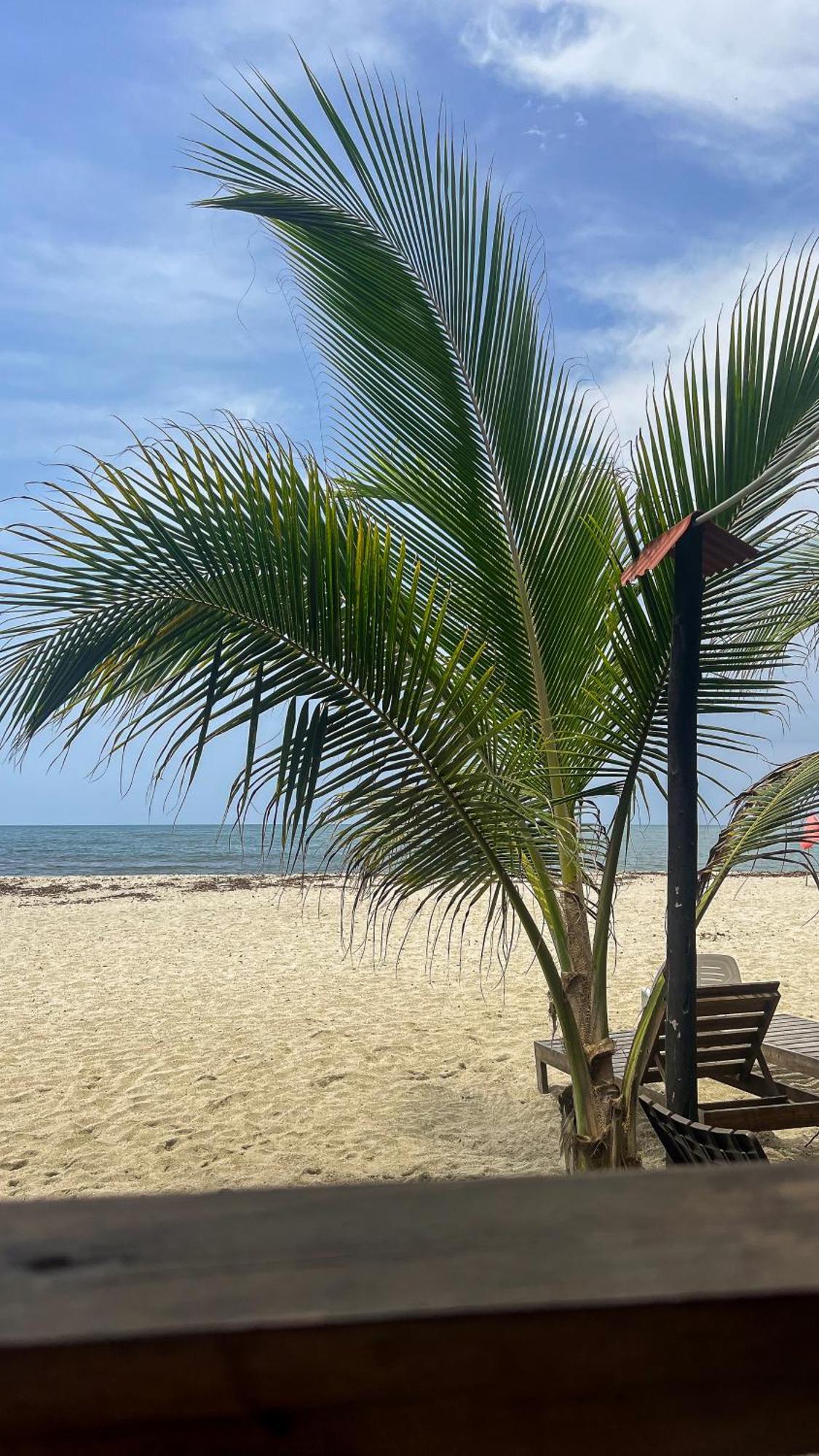 Hostal Mocambo Beach Guachaca Exterior foto